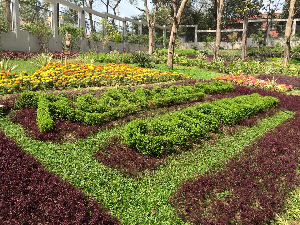 Maintenance landscaping company in Dhaka