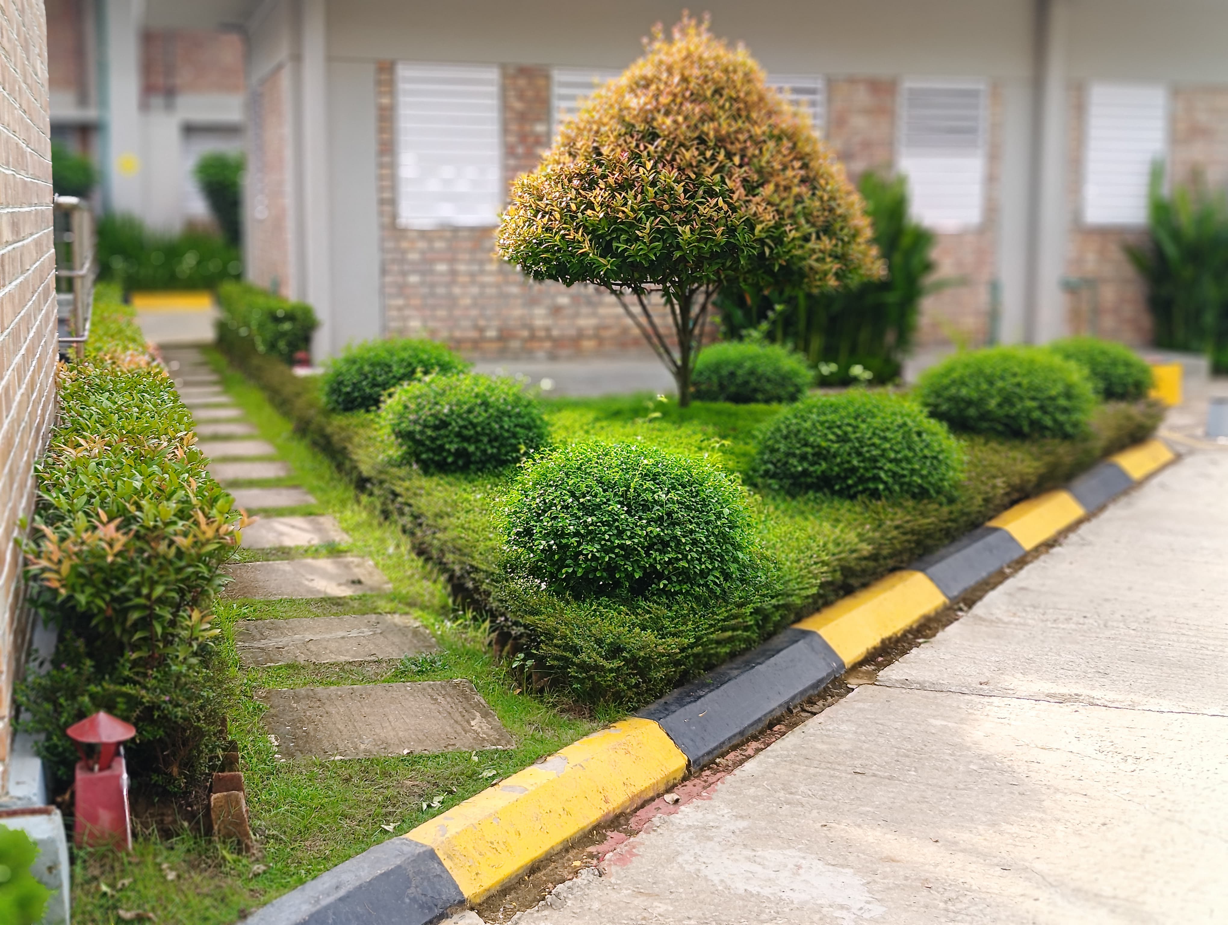 A & E Chittagong